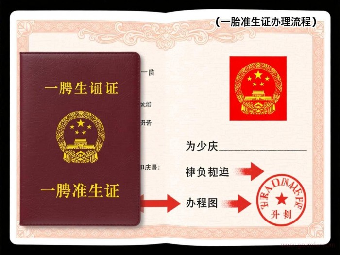 一胎准生证办理流程（一胎准生证办理流程图）