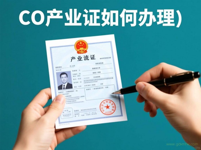 co产地证办理流程（co产地证如何办理）