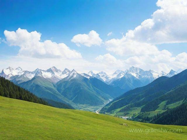 入川备案办理流程（入川备案办理流程视频）