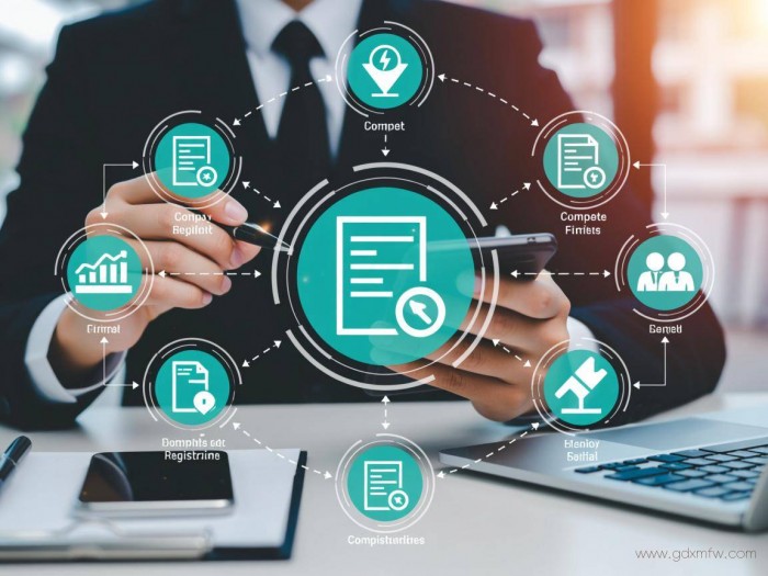 办理公司流程详解（办理公司流程详解图）