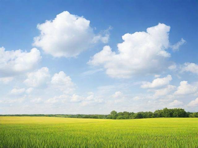 贸促会产地证办理流程（贸促会产地证和商检局产地证）