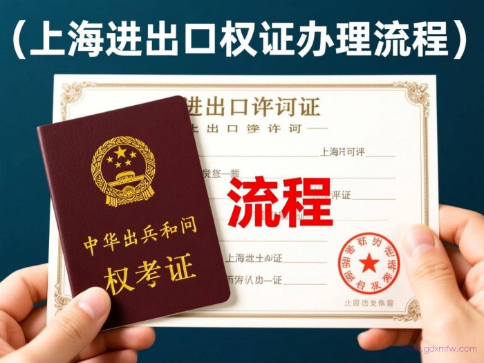 上海进出口许可证办理流程（上海进出口权证办理流程）