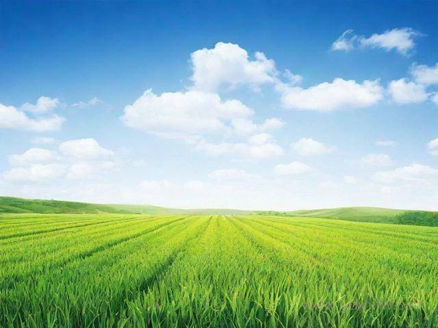 办理产地证流程（办理产地证多少钱一份）