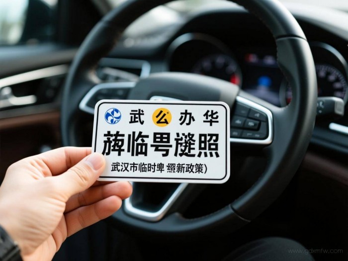 武汉临牌怎么办理流程（武汉市临时牌照新政策）