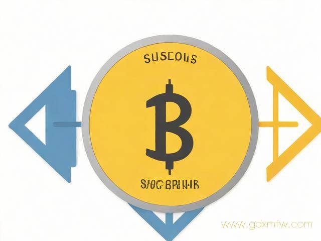 货币牌照办理流程（货币牌照办理流程及时间）