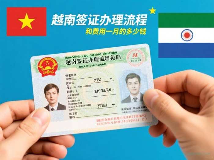 越南签证怎么办理流程（越南签证办理流程和费用一月的多少钱）
