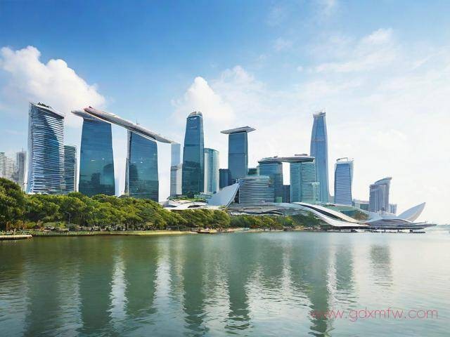 新加坡落地签证办理流程（新加坡落地签证办理流程图）