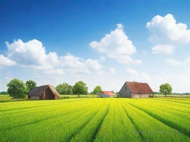 农村大病统筹办理流程（农村医保大病统筹需要什么条件才能申请）