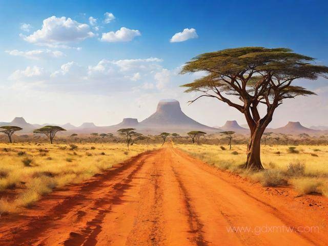 安哥拉签证办理流程（安哥拉签证多久能办下来）