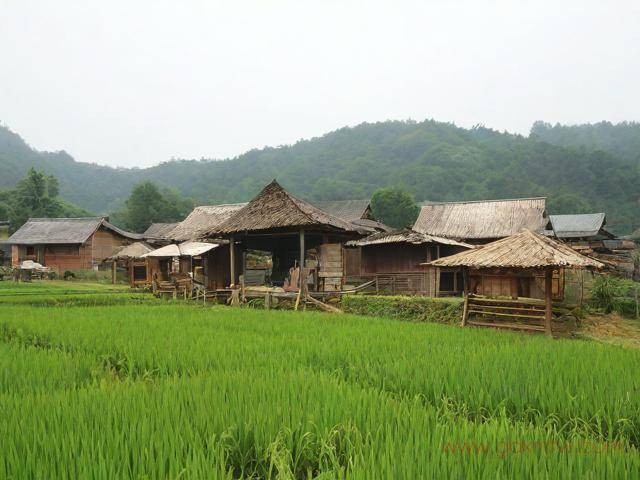 农家乐营业执照办理流程（农家乐营业执照怎么办理）