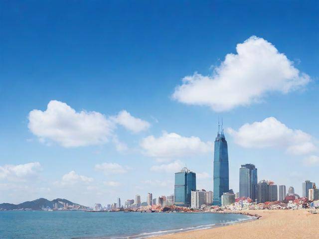 青岛公司注销办理流程（青岛市企业开办及注销）