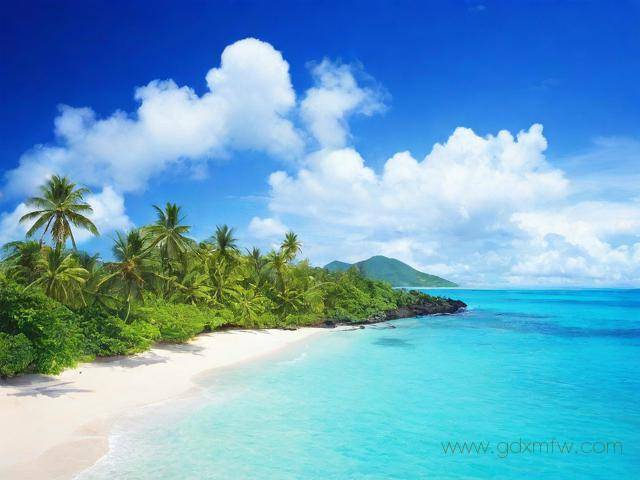 海南人才引进办理流程（海南人才引进怎么办理）