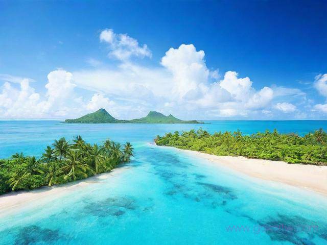 海南人才引进办理流程（海南人才引进怎么办理）