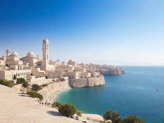 伊朗电子签证办理流程(伊朗旅游签证怎么办理)