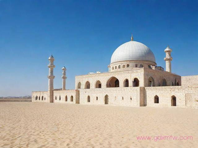 伊朗电子签证办理流程(伊朗旅游签证怎么办理)