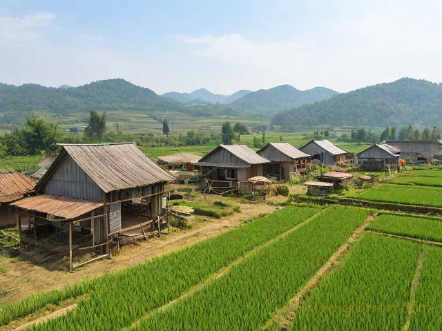 农家乐营业执照办理流程(农家乐营业执照怎么办理)