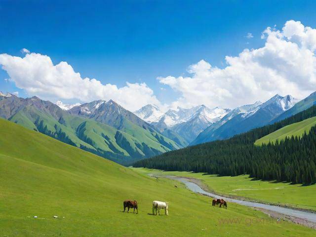 进疆备案办理流程（关于进疆备案的要求）