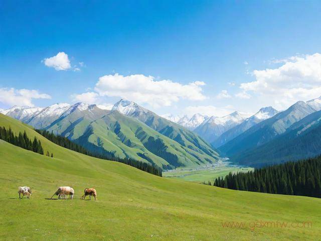 进疆备案办理流程（关于进疆备案的要求）