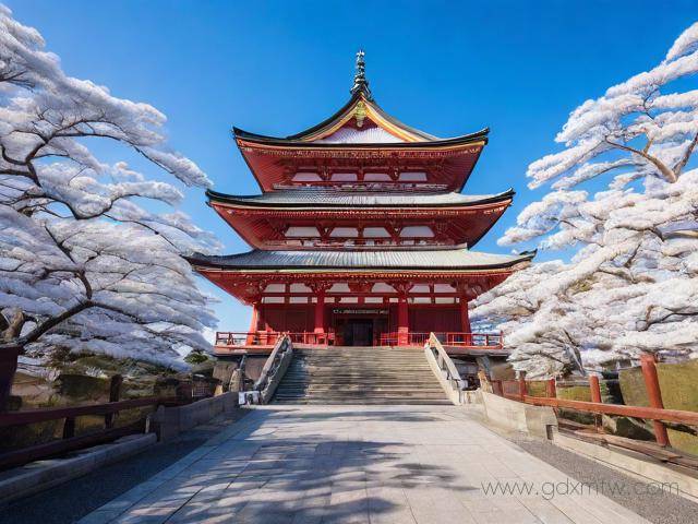 台湾签证日本办理流程（台湾签证日本办理流程图）