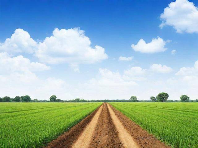 征地手续办理流程（征地六个步骤）