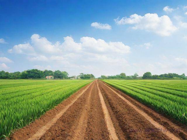 征地手续办理流程（征地六个步骤）