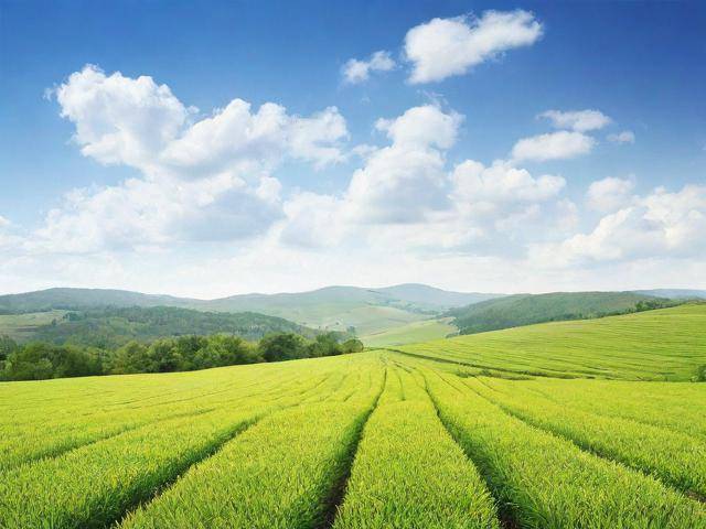 贸促会产地证办理流程（贸促会产地证和商检局产地证）