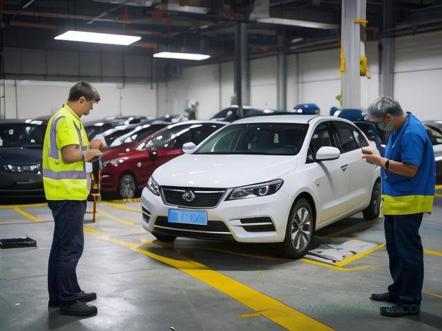 车子挂牌办理流程（车子挂牌办理流程视频）