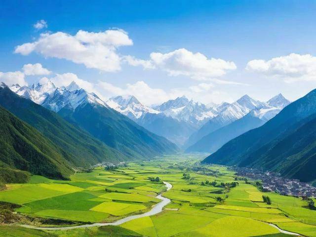 入川备案网上办理流程（入川备案证在什么地方查询）