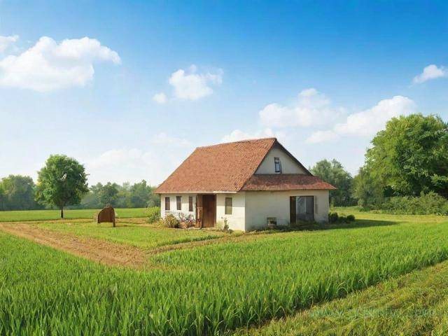 宅基证怎么办理流程（宅基证需要什么手续）