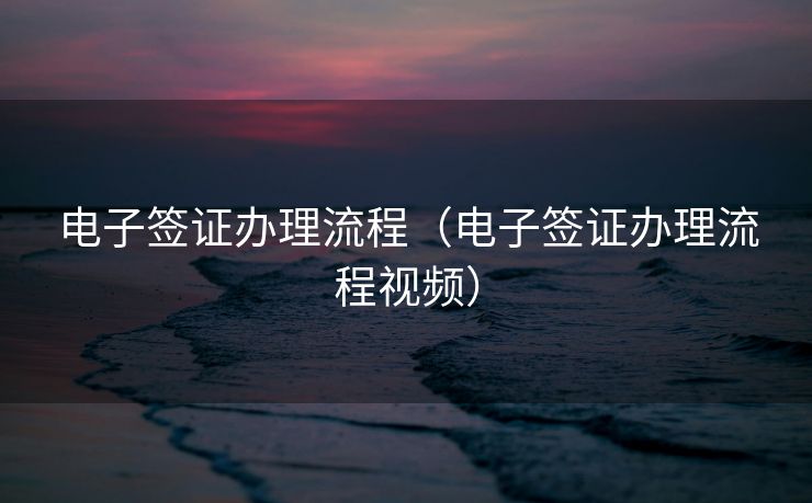 电子签证办理流程（电子签证办理流程视频）