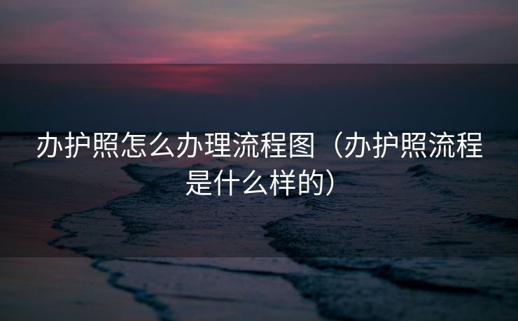 办护照怎么办理流程图（办护照流程是什么样的）
