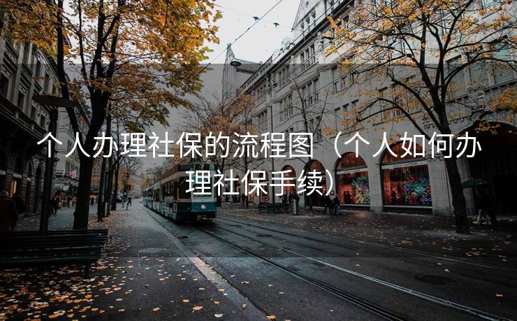 个人办理社保的流程图（个人如何办理社保手续）