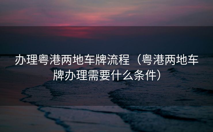 办理粤港两地车牌流程(粤港两地车牌办理需要什么条件) 办理粤港两地车牌流程(粤港两地车牌办理需要什么条件)