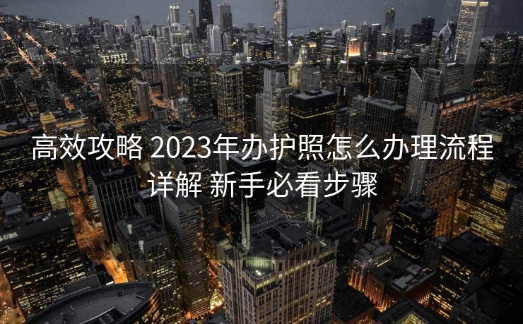 高效攻略 2023年办护照怎么办理流程详解 新手必看步骤