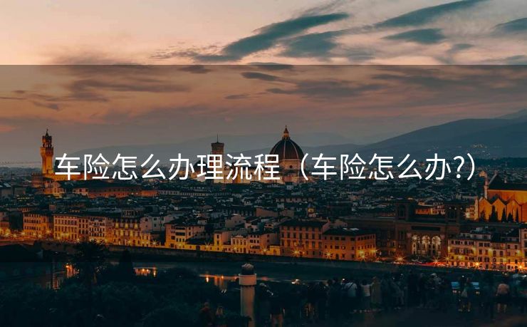 车险怎么办理流程（车险怎么办?）