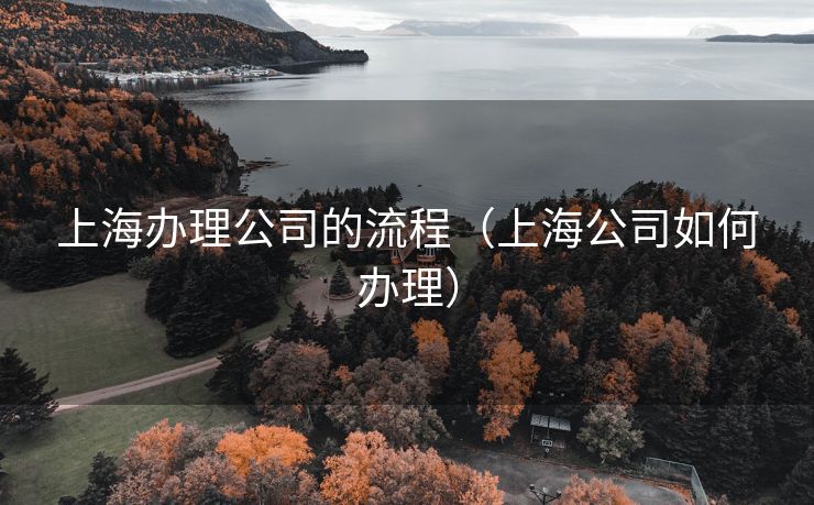 上海办理公司的流程(上海公司如何办理) 上海办理公司的流程(上海公司如何办理)