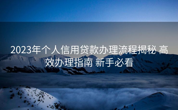 2023年个人信用贷款办理流程揭秘 高效办理指南 新手必看