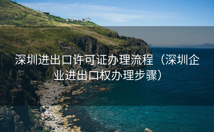 深圳进出口许可证办理流程（深圳企业进出口权办理步骤）