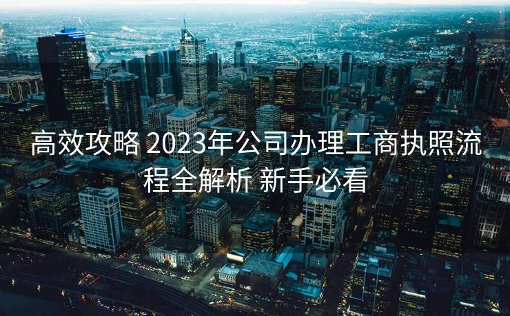 高效攻略 2023年公司办理工商执照流程全解析 新手必看