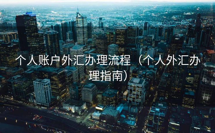 个人账户外汇办理流程（个人外汇办理指南）