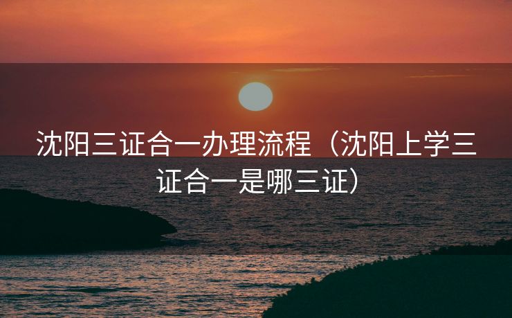 沈阳三证合一办理流程（沈阳上学三证合一是哪三证）