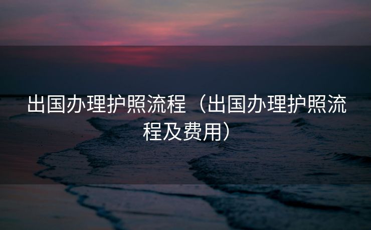 出国办理护照流程（出国办理护照流程及费用）