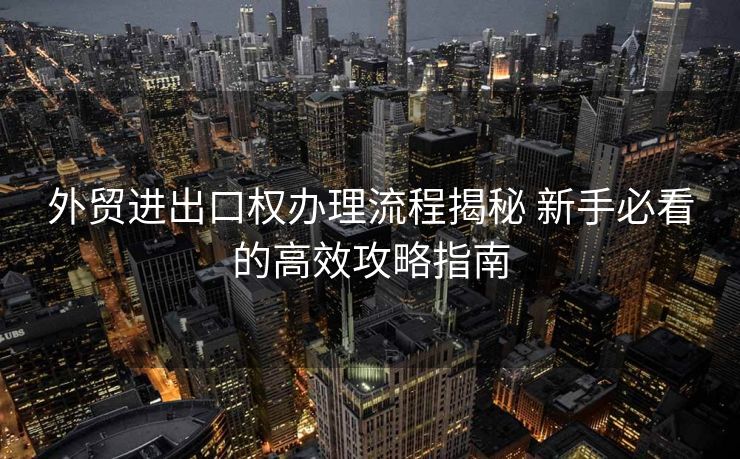 外贸进出口权办理流程揭秘 新手必看的高效攻略指南