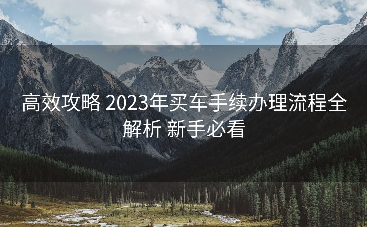 高效攻略 2023年买车手续办理流程全解析 新手必看