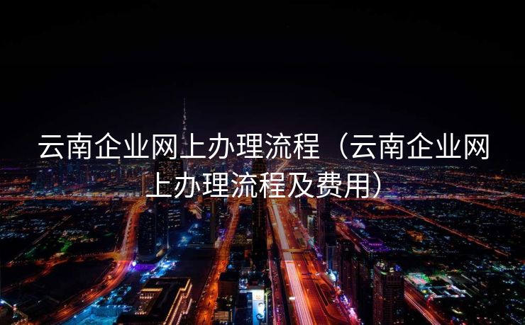 云南企业网上办理流程（云南企业网上办理流程及费用）