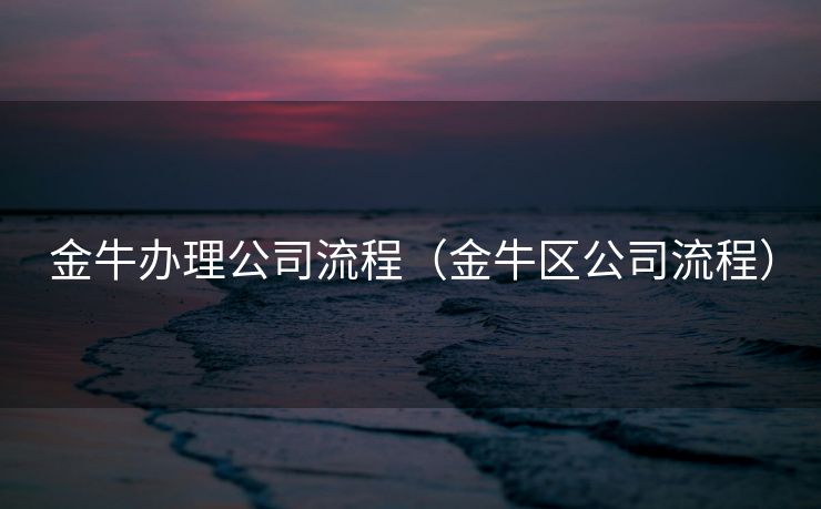 金牛办理公司流程（金牛区公司流程）