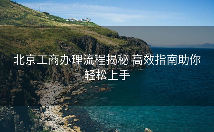 北京工商办理流程揭秘 高效指南助你轻松上手
