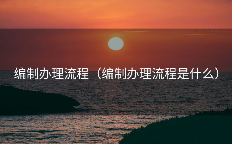 编制办理流程（编制办理流程是什么）