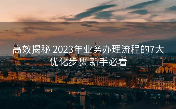 高效揭秘 2023年业务办理流程的7大优化步骤 新手必看