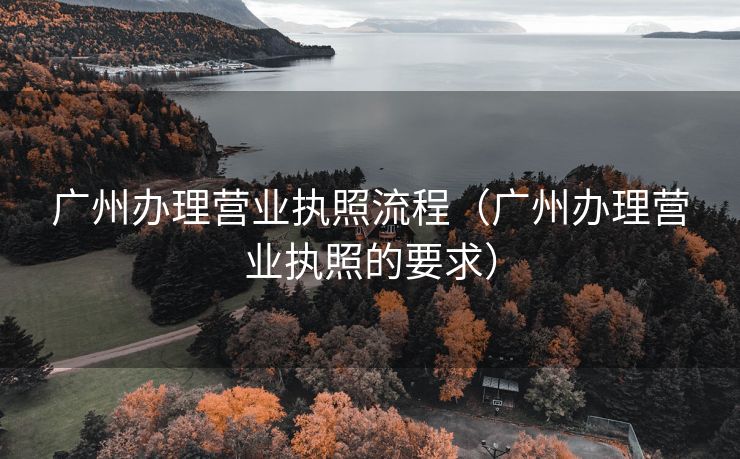 广州办理营业执照流程（广州办理营业执照的要求）